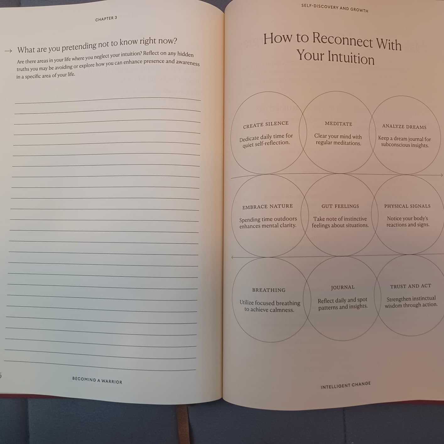 Becoming a Warrior Guided Journal for Women: 100+ Prompts for Self-Discovery, Gratitude, & Facing Fears, B5 Large Undated Manifestation Journal Notebook for Long-format Writing & Reflection customer photo 1