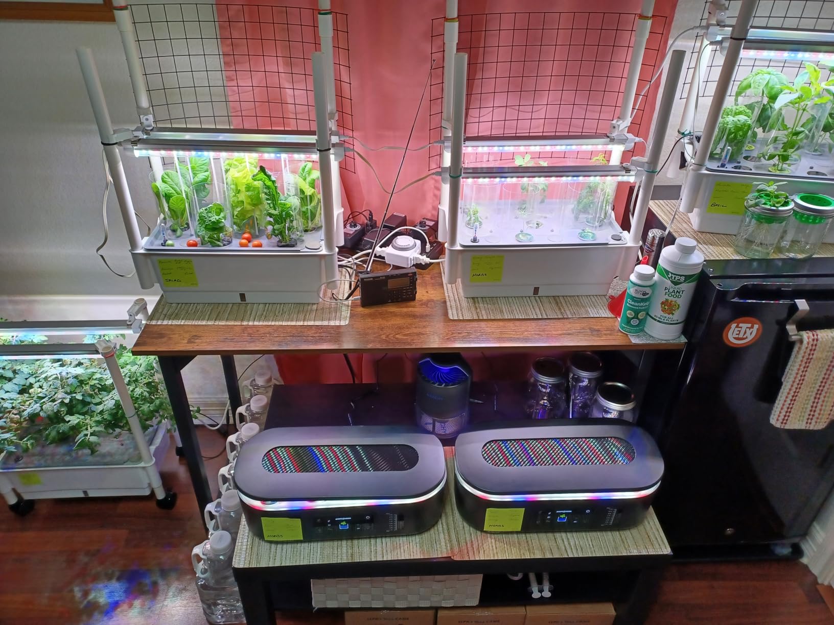 AOONEG 42Pods Indoor Herb Garden with LED Grow Light, Hydroponics Growing System Kit with Automatic Timer, Pump System, Adjustable Height customer photo 1