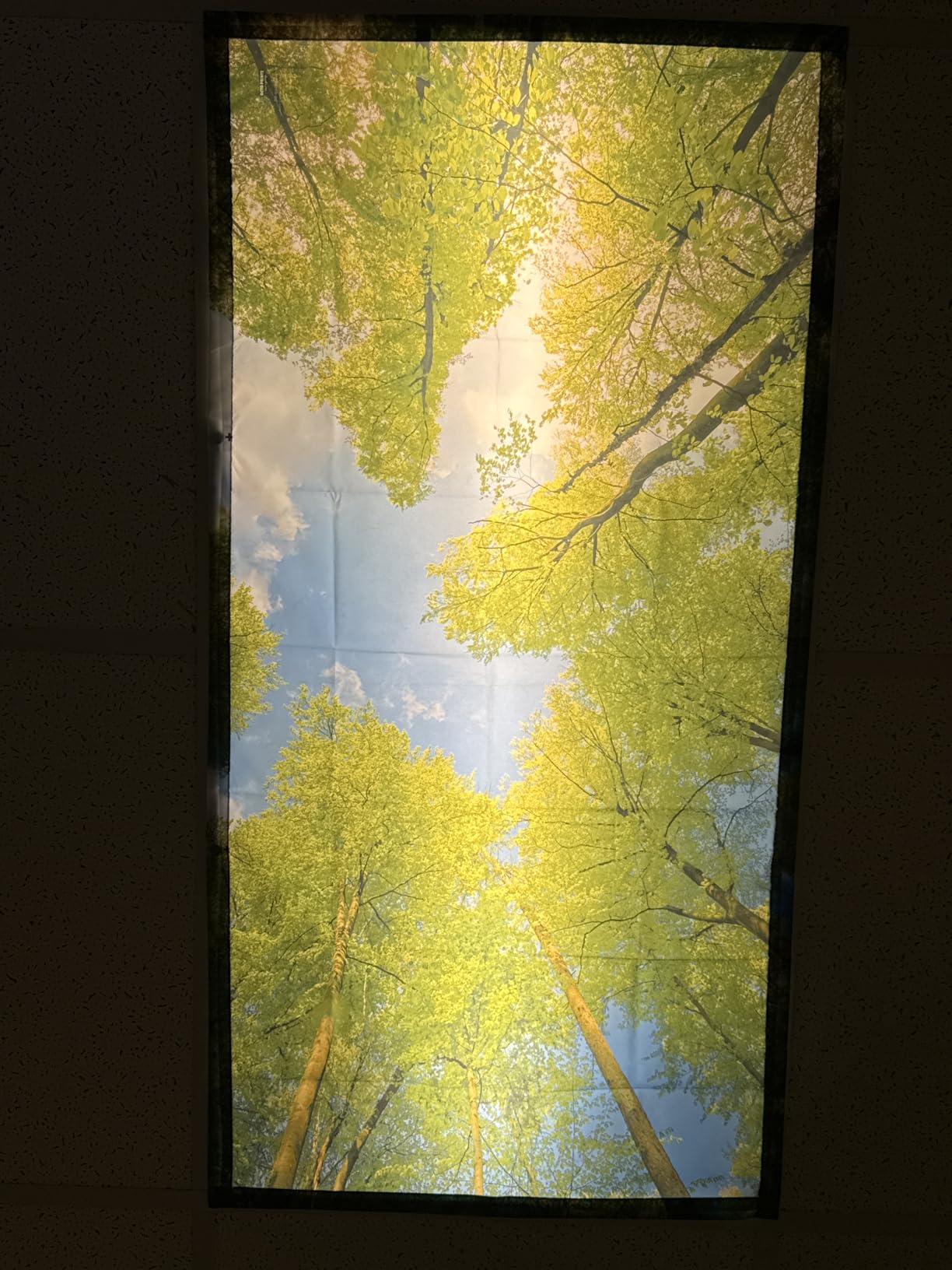 Fluorescent Light Covers for Ceiling Lights - Magnetic Cloud Cover for Fluorescent Or LED Fixture - Must Haves for Teacher Supplies - Classroom, Home, Office Cubicle Decor - Filters Overhead Lighting customer photo 2