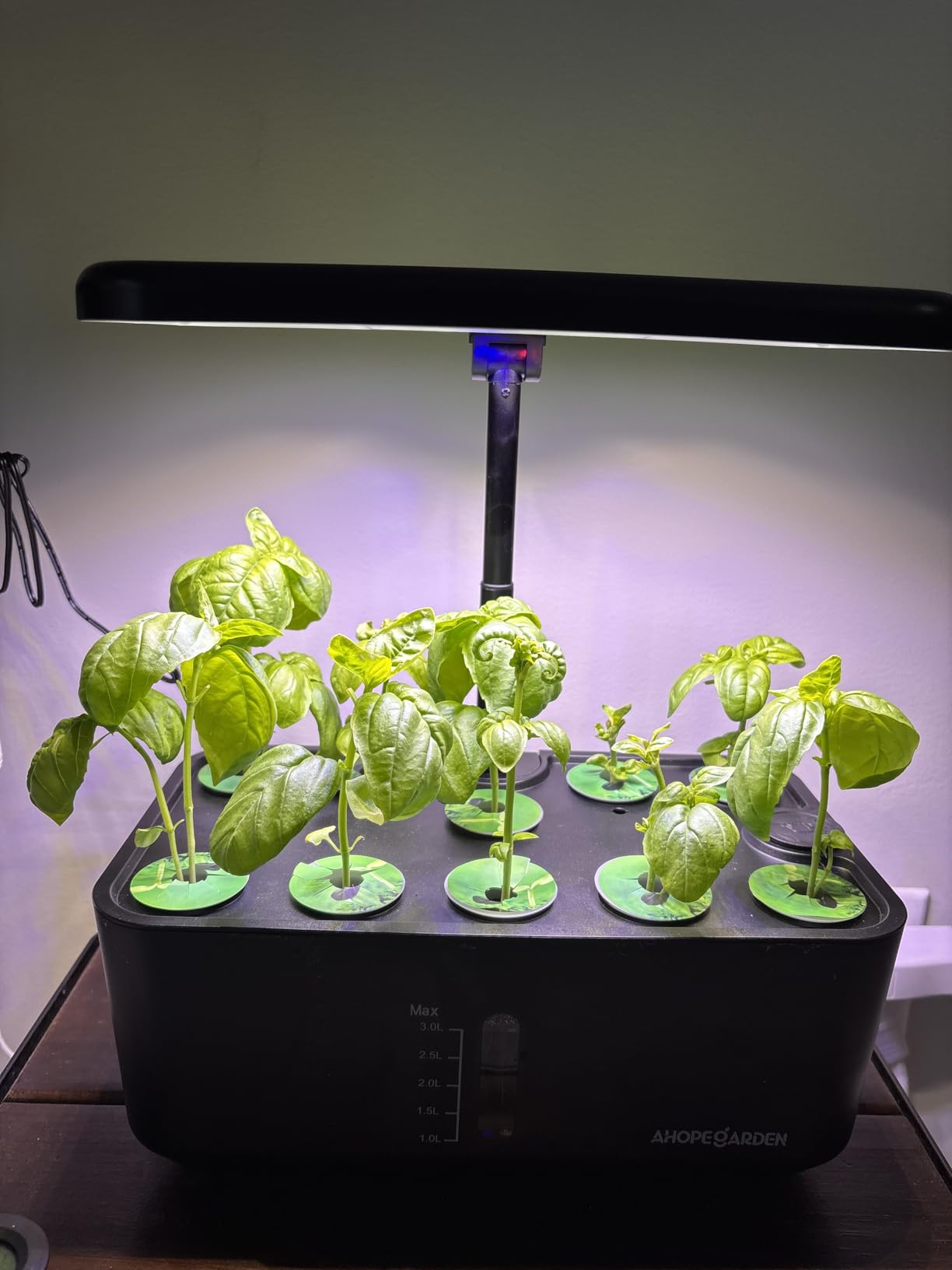 Ahopegarden Hydroponics Growing System kit: 12 Pods Indoor Herb Garden with Smart Environmental Detection - Full Spectrum LED Grow Light for Growing Vegetables, Herbs and Lettuce customer photo 1