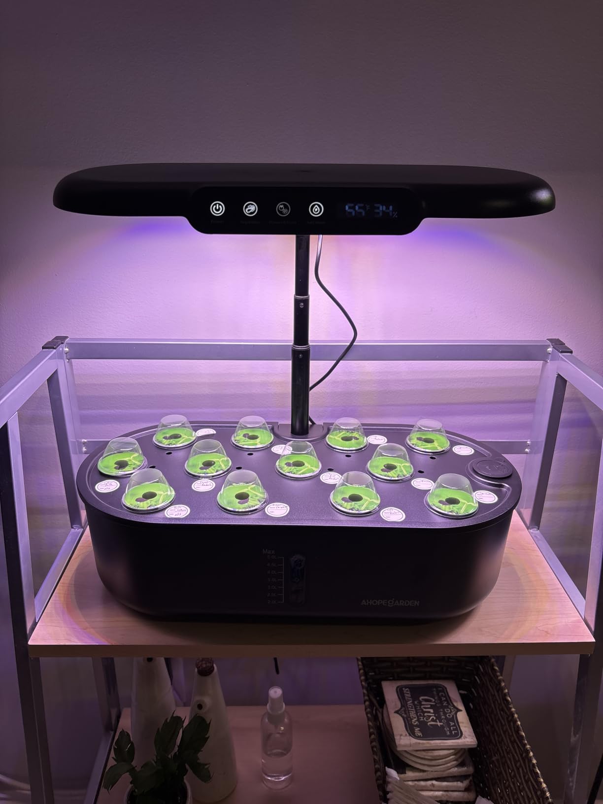 Ahopegarden Hydroponics Growing System kit: 12 Pods Indoor Herb Garden with Smart Environmental Detection - Full Spectrum LED Grow Light for Growing Vegetables, Herbs and Lettuce customer photo 2