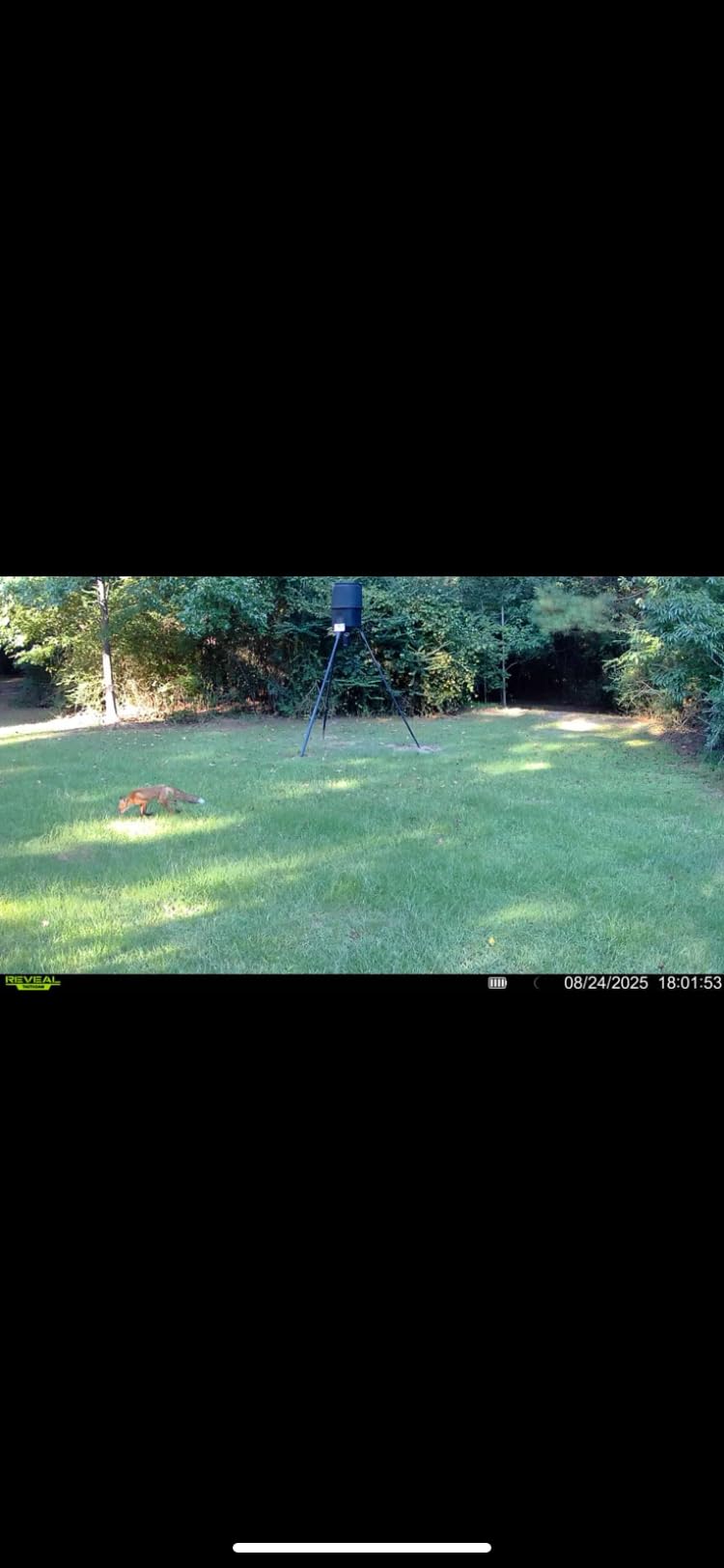TACTACAM Reveal X Gen 3.0 Cellular Trail Camera: Auto Connect 4G LTE, 4K Photo, 1080p Video, Low-Glow IR Flash, No SD Card Needed, Long Battery Life - Best Hunting, Game & Property Monitoring Camera customer photo 2