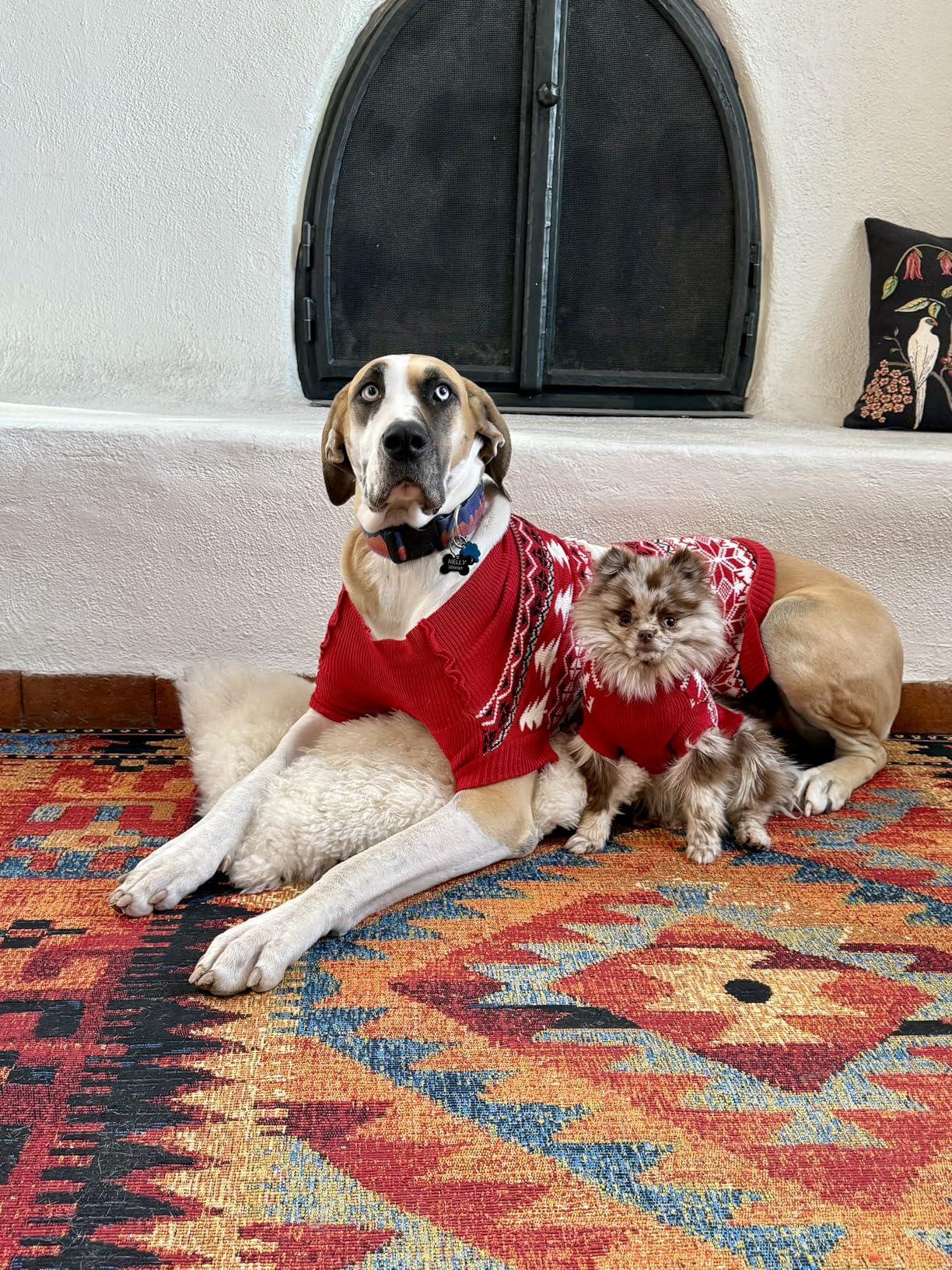 Family Matching Dog and Owner Clothes Outfits,Christmas Pet Cat Sweater Costume for Small Medium Extra Large Dogs/Women/Men,Only for Pet L customer photo 1