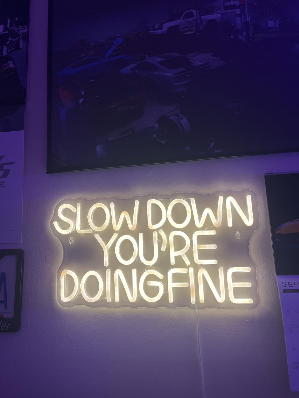 Slow Down You are Doing Fine Neon Signs for Wall Decor,Dimmable Positive Inspirational Neon Light, Uplifting Quote Wall Art Daily Reminder Trendy Wall Art for Man Cave Classroom Party Gifts(15.7 * 8.2in) customer photo 2