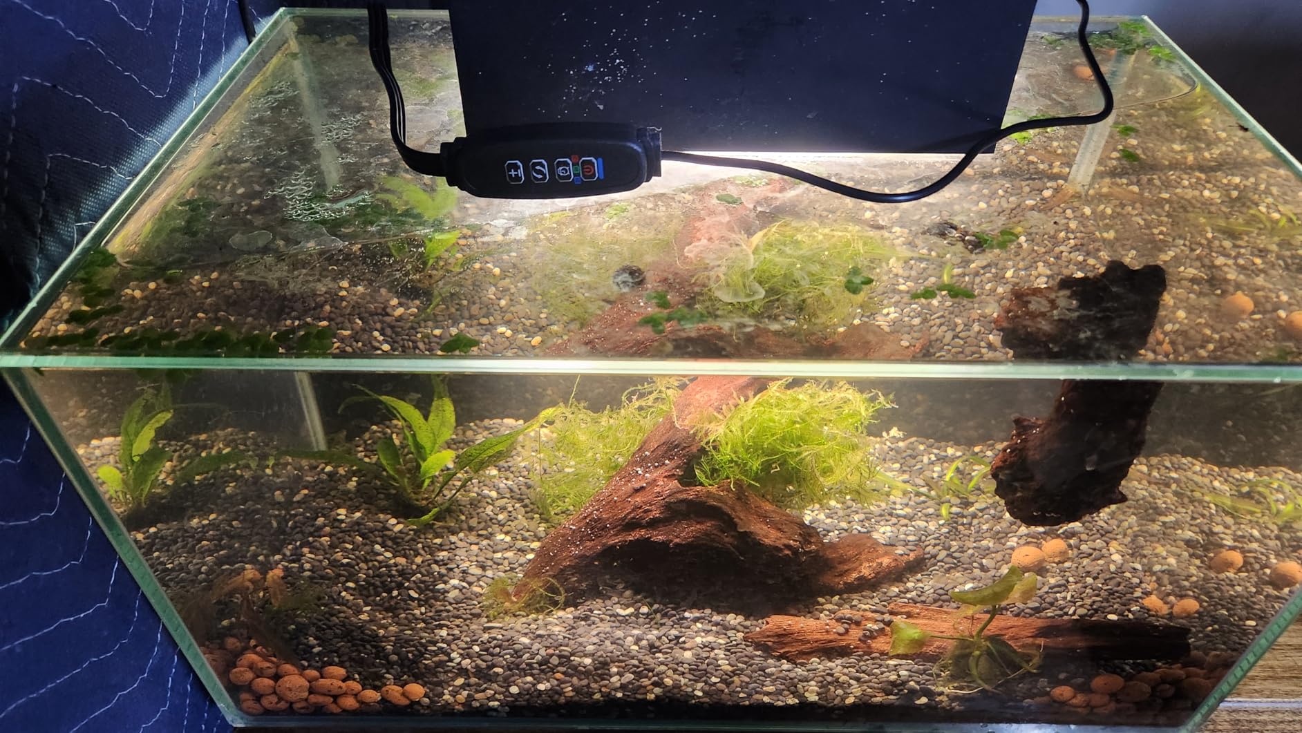 CaribSea Super Natural Midnight River Sand - 10 lbs - Fine Black Substrate for Freshwater Aquariums & Aquascaping, Supports Plants & Natural Habitat customer photo 1