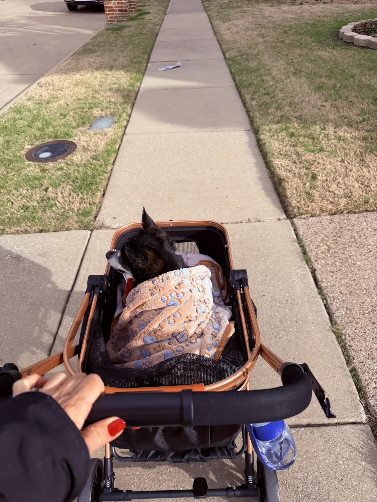 Pet Stroller for Small Dogs, Lightweight Small Dog Stroller for Dogs Cats with 6 Shock Absorption System, Detachable Carrier Suitable for Car Seat & Hand Carry, Safe Outings, Black customer photo 2