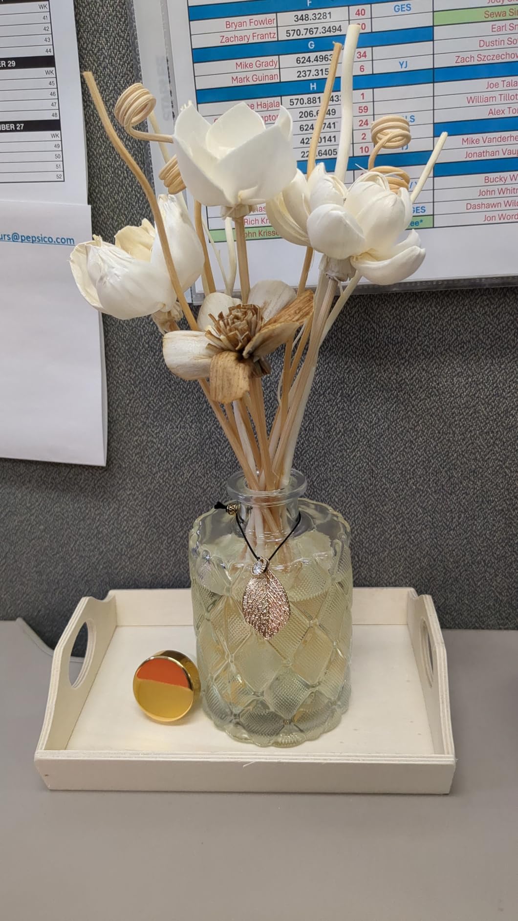 Glass Reed Diffusers Bottles for Home, Diffuser Bottles with 20PCS Reed Diffuser Sticks, Vintage Embossed Apothecary Style Flower Bud Vases with Cork Lids, Set of 3 customer photo 1