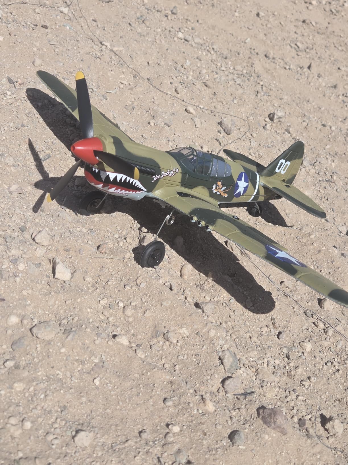 volantexrc RC Plane, 4 Channel Remote Control Airplane Fighter P40 with Aileron, 6-Axis Gyro, Aerobatics for Adults customer photo 1
