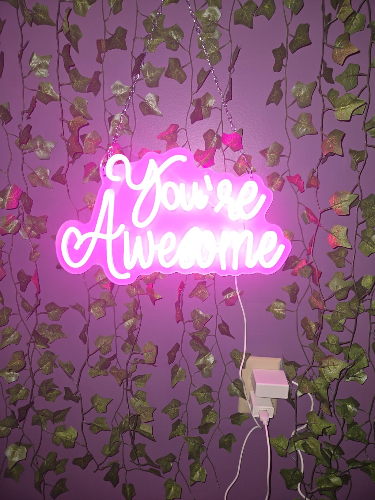 You Are Awesome Neon Signs Dimmable Inspirational LED Neon Lights for Wall Decor Pink USB Positive Quotes Light up Sign for Bedroom Wedding Birthday Classroom Home Office Bar Hanging Decor customer photo 1