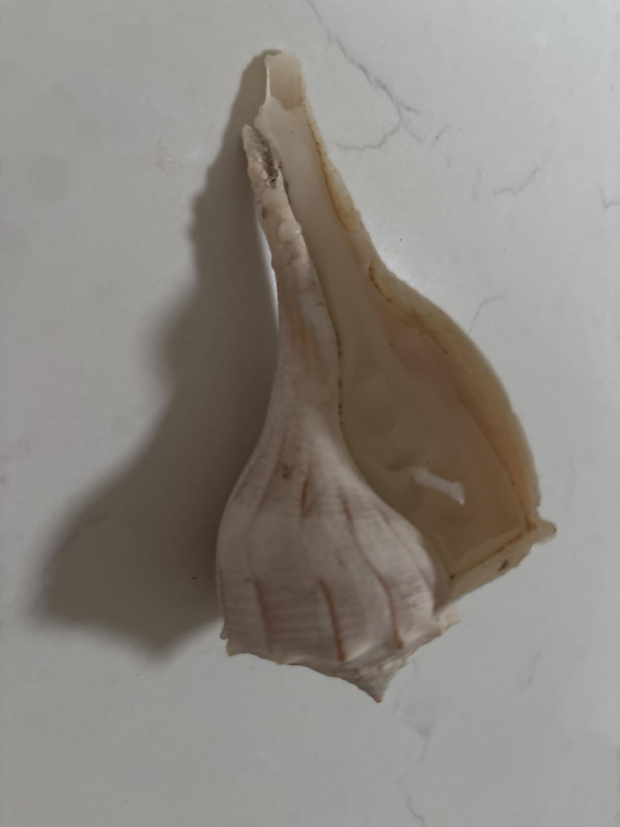 Ksedcon Wax Melting Pot for Candle Making, Electric Wax Melter with Pour Spout,Candle Making Supplies Includes Pouring Pot, Colors Dyes, Wicks, Thermometer customer photo 2
