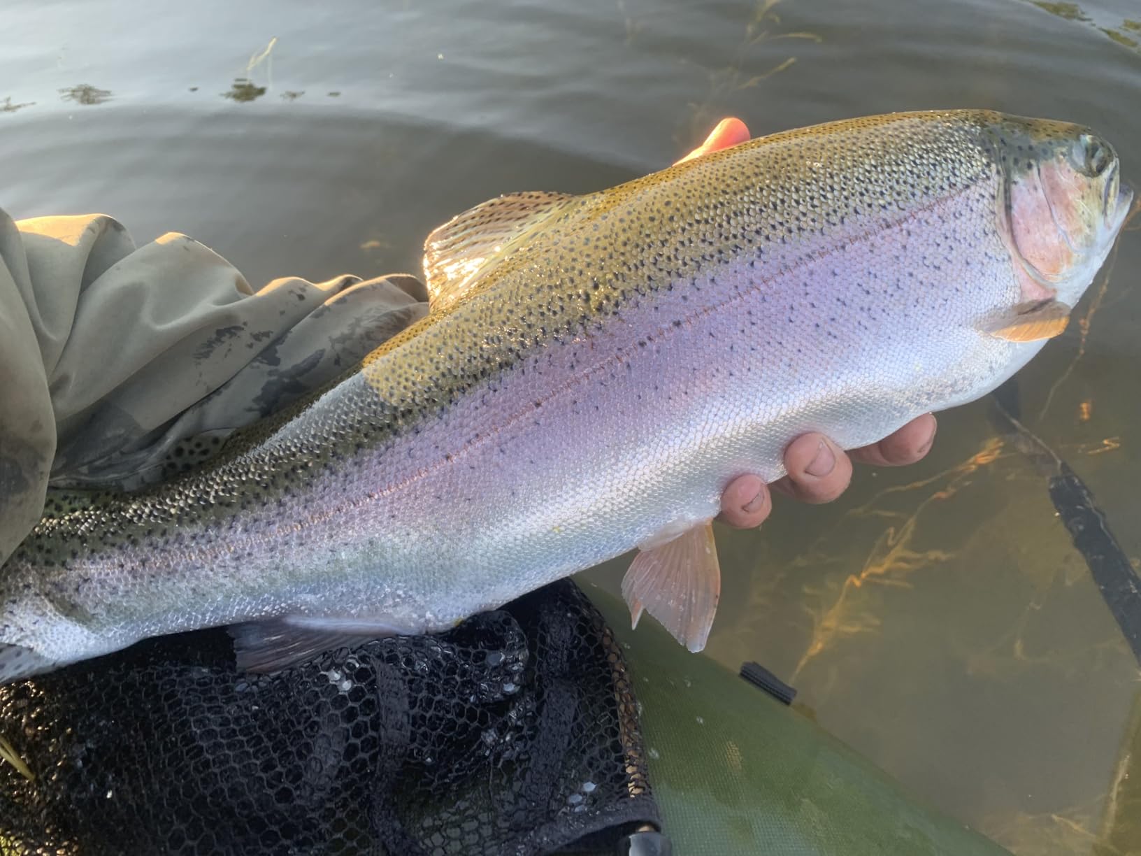 Aventik FLK II Fly Fishing Reel Aluminum Trout 3/5, 5/7, 7/9wt Large Arbor Freshwater Fly Reel with Line. customer photo 2