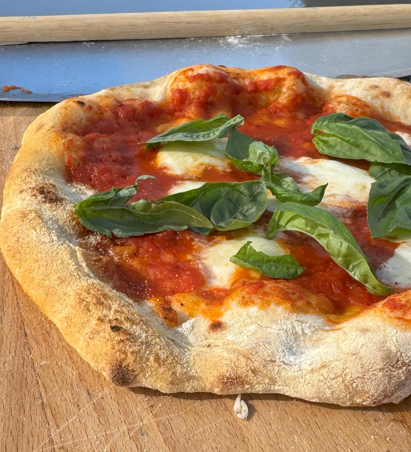 Ninja Artisan Electric Outdoor Pizza Oven with Stone | 12-inch Pizza in 3-minutes | 700F Max Temp | 5-in-1 Functionality - Pizza, Bake, Broil, Proof & Warm | Makes Full Meals | Gray | MO201 customer photo 2