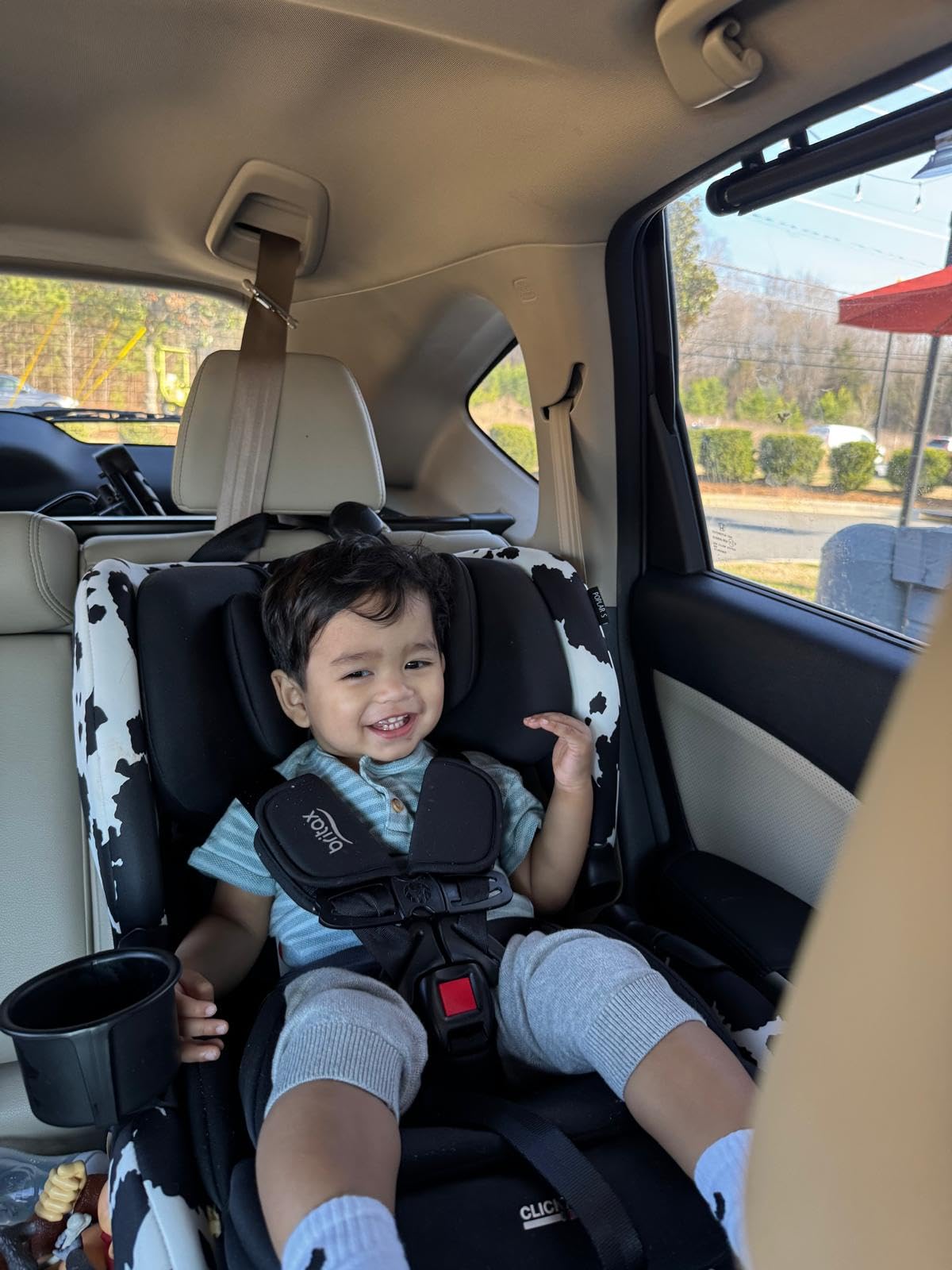 Britax Poplar S Convertible Car Seat, 2-in-1 Car Seat, Slim 17-Inch Design, ClickTight, Cowmooflage customer photo 1