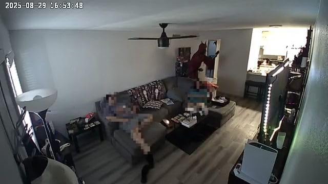 1080P HD Indoor Camera for Indoor Security with App Control Motion Detection & Night Vision Wireless WiFi Rechargeable Pet Camera for Home/Office 24/7 Cycle Save Video Only (1080P) customer photo 2
