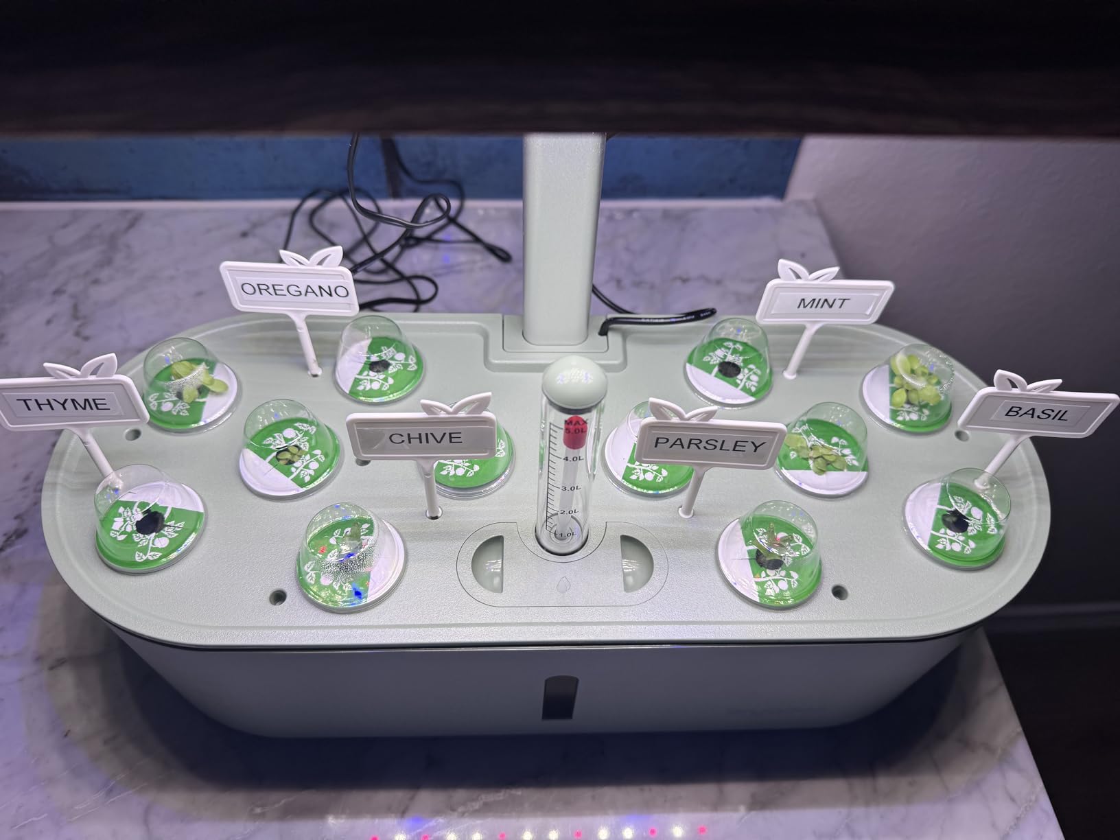 Hydroponics Growing System Indoor Garden: 12 Pods Herb Garden Kit Indoor with LED Grow Light Plant Germination Kit for Healthy Fresh Herbs Vegetables customer photo 2