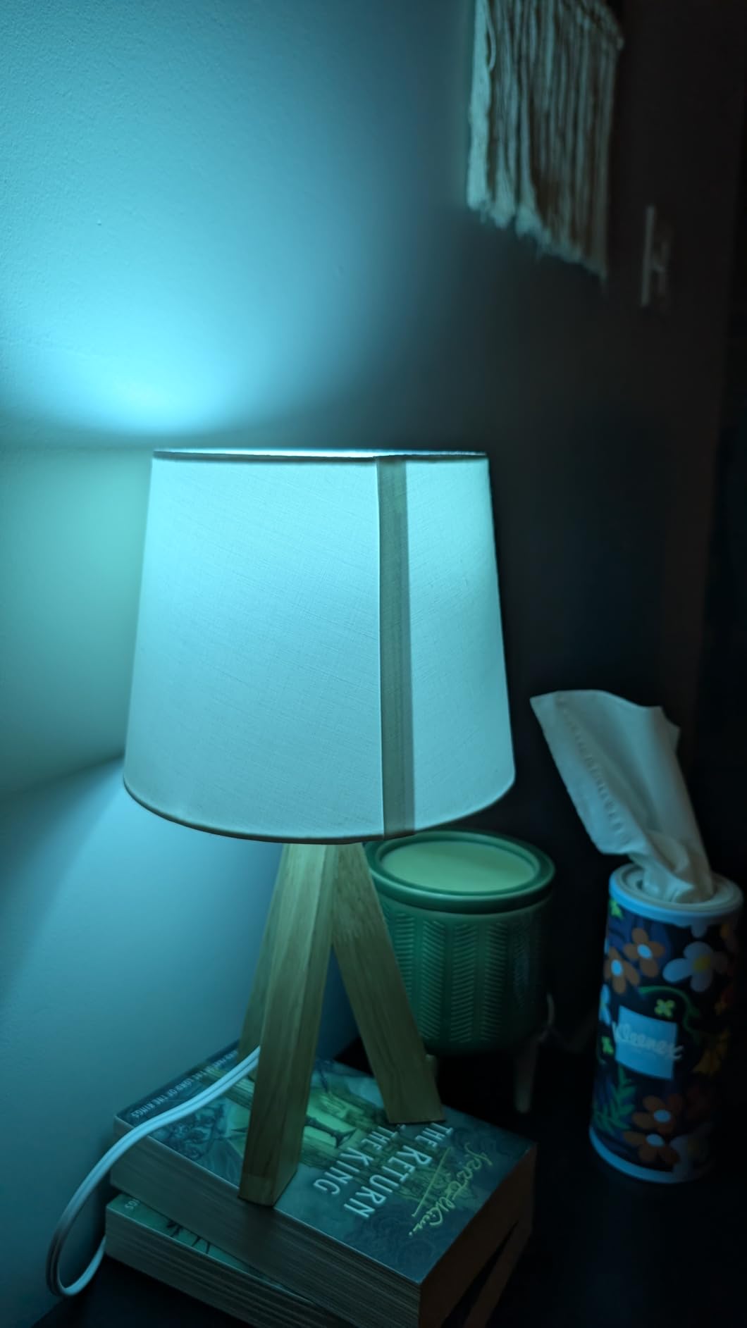 DAYBETTER Smart Light Bulbs, RGBCW Color Changing Smart Bulb Compatible with Alexa & Google Home,Preset Scene, Music Sync, A19 E26 2.4G WiFi Bluetooth Dimmable LED Bulbs, 60W Equivalent, 800LM, 6 Pack customer photo 2