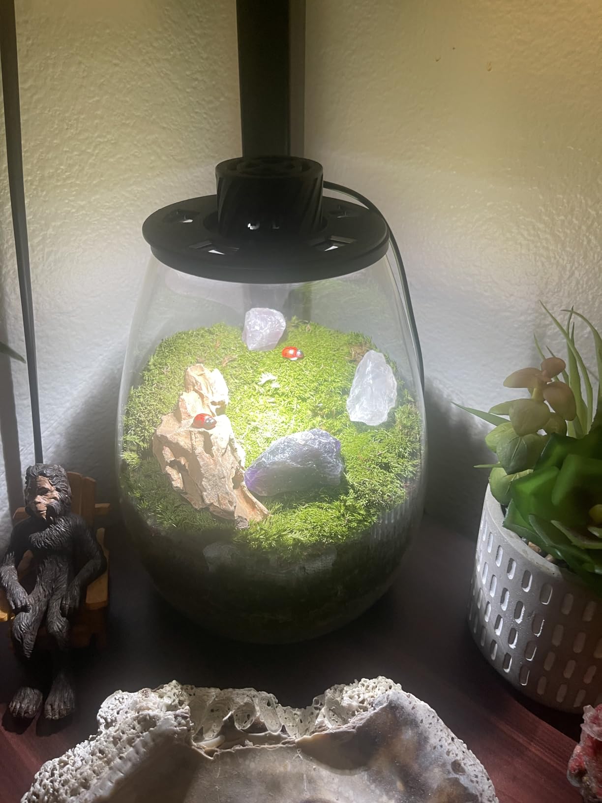 DIY Crystal Terrarium Kit- All-In-One Starter Kit with Preserved Moss, Pumice, Crystals, Coconut Coir, Gardening Tools & Decor | Healing Gift for relaxing | Plants & Crystal Lovers | Home & Desk Decor customer photo 1