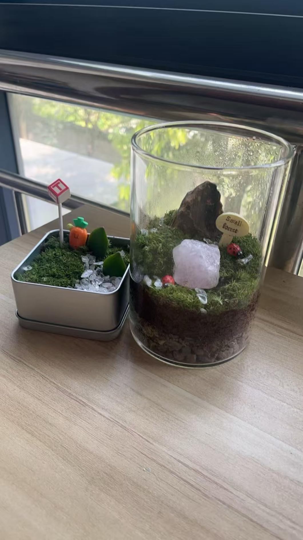 DIY Crystal Terrarium Kit- All-In-One Starter Kit with Preserved Moss, Pumice, Crystals, Coconut Coir, Gardening Tools & Decor | Healing Gift for relaxing | Plants & Crystal Lovers | Home & Desk Decor customer photo 2