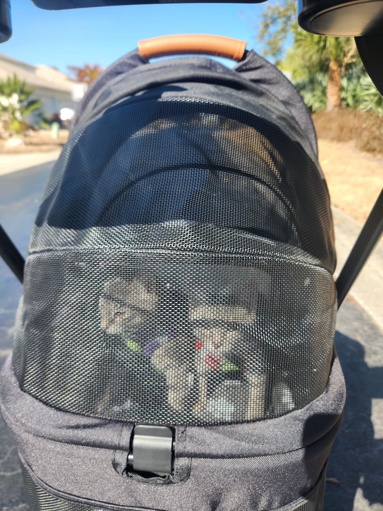3 in 1 Pet Stroller with Removable Carrier, Folding Stroller for Small/Medium Dogs and Cats, Waterproof, All-Terrain, with Sun Shades, Car Seat customer photo 1