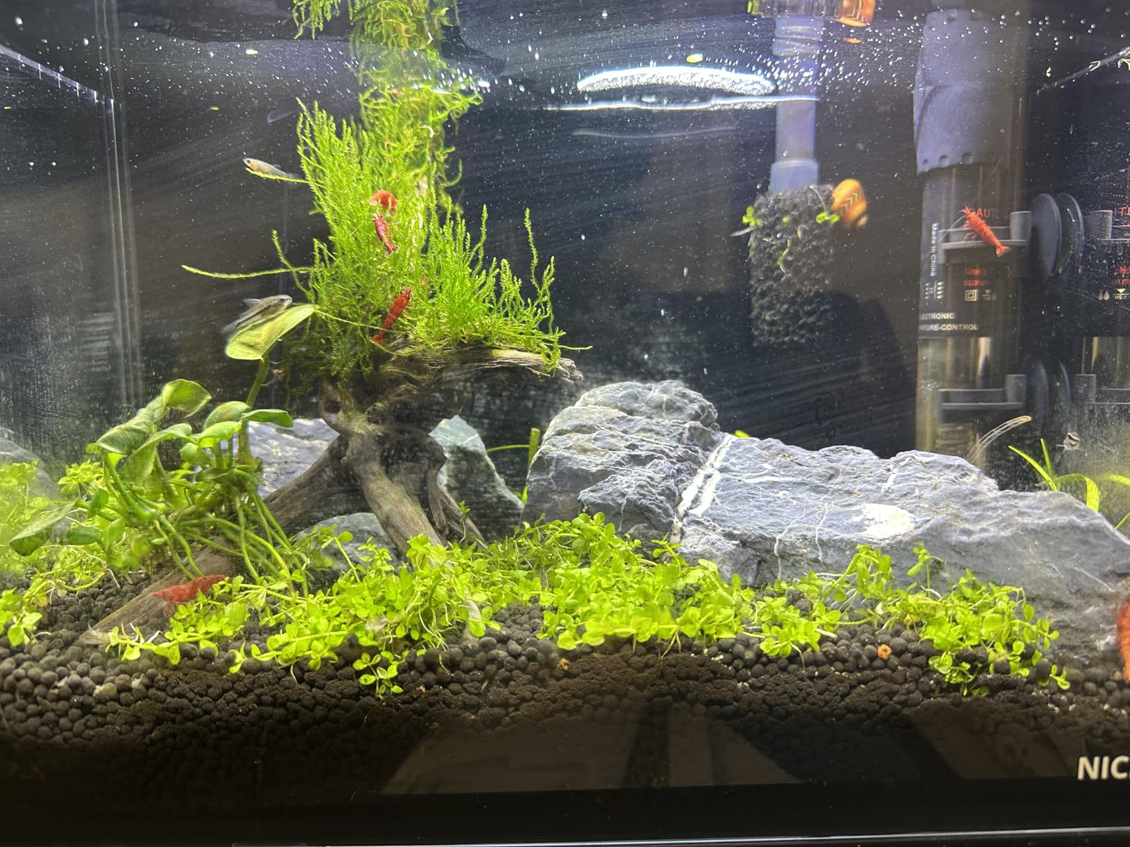 NICREW 2.5 Gallon Nano Nature Aquarium Kit, Ultra-Clear Rimless Desktop Fish Tank with Light and Filter, Perfect for Small Fish, Shrimp, or Betta, Basic Version, Clear customer photo 2