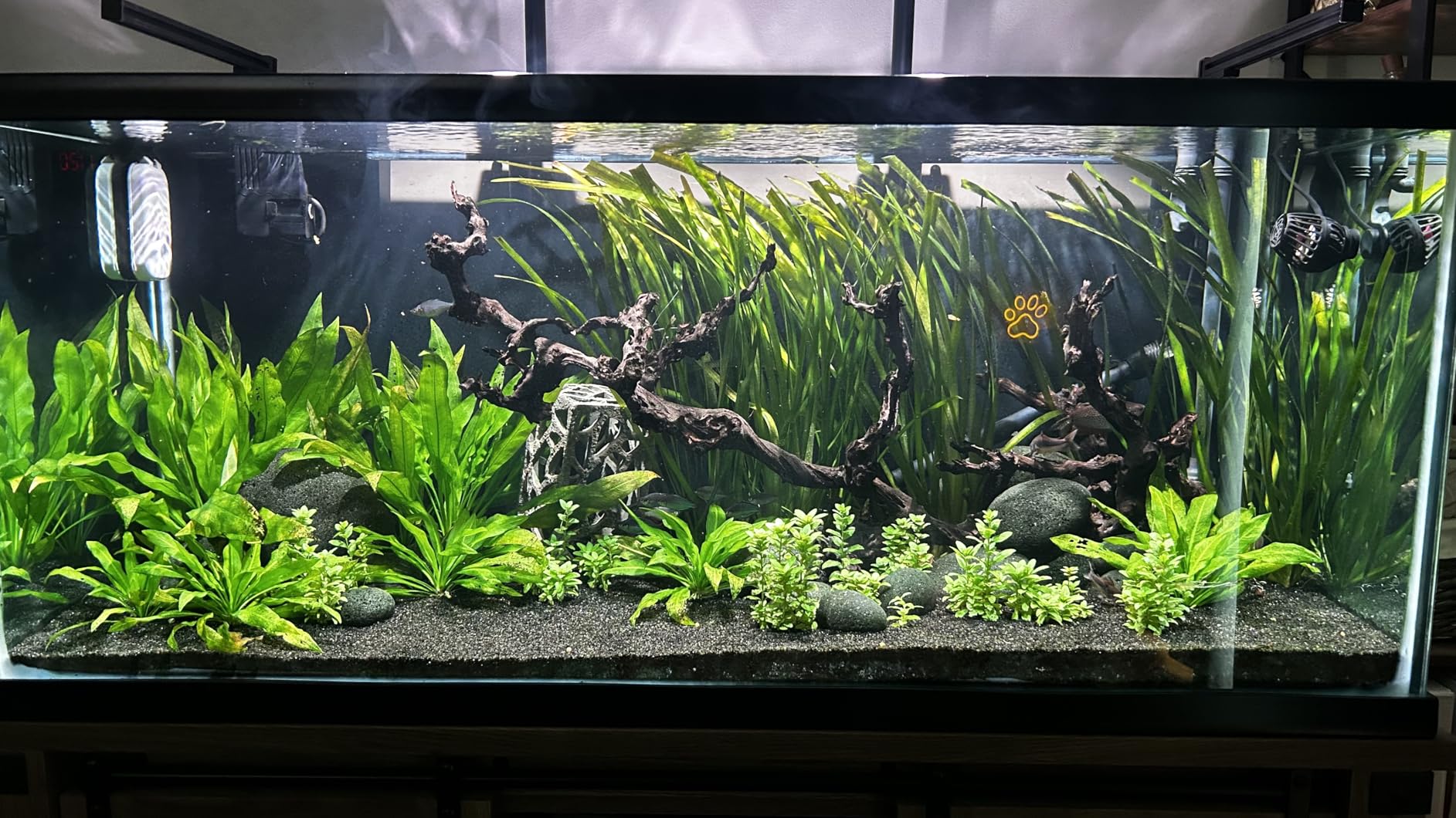 hygger 75W High PAR Aquarium LED Plant Light, 5 Adjustable Brightness Full Spectrum Fish Tank Light Aquarium Lamp & Stand Kit Ideal for Aquascaping Planted Tank Fish Display Shrimp Tank Paludarium customer photo 2