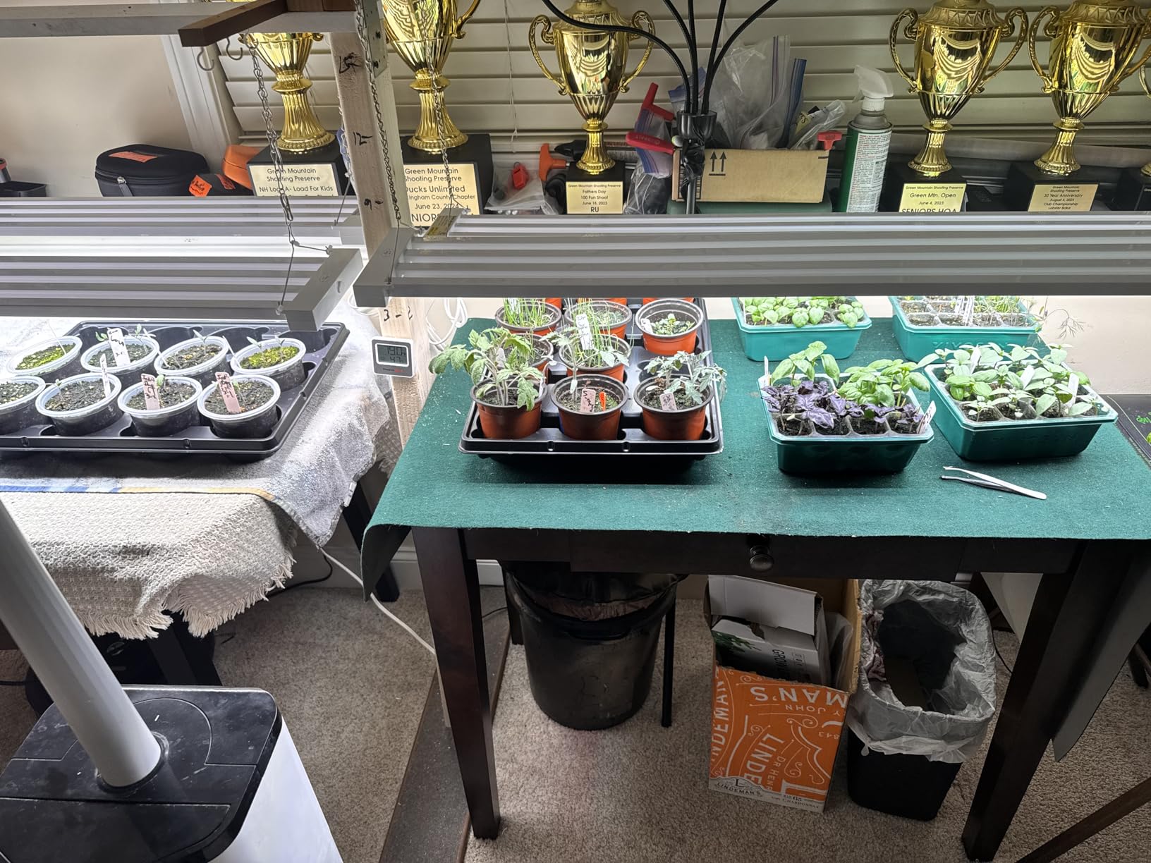 Barrina TX-L84 4FT LED Grow Light, 84W, 4 LED Panels Wider Coverage, Full Spectrum with 730nm IR LEDs, High PPFD, Linkable, Hanging for Plant Lights Indoor, Greenhouse, Vegetable, Seeding, 1 Pack customer photo 2