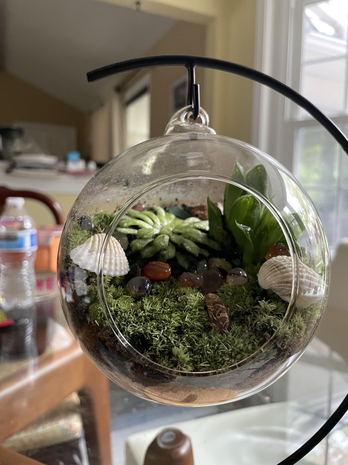 15-Piece Terrarium Kit with Live Moss - DIY Glass Globe Set with Tools, Soil, Stones & Spray Bottle - Indoor Mini Garden Gift for Plant Lovers, Home Decor & Zen Craft customer photo 1