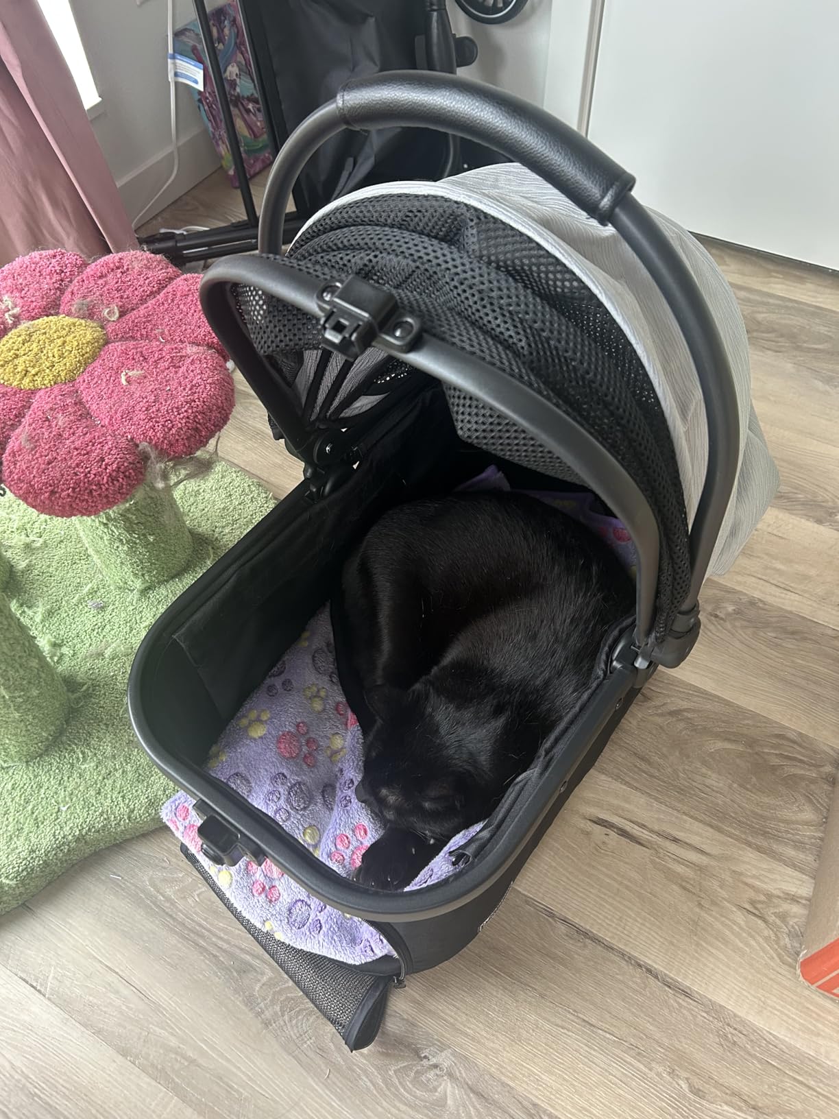 Pet Stroller for Small Dogs and Cats, One-Click Foldable Dog Stroller with Detachable Carrier & 3 Safety Tethers, Holds up to 33 lbs, Storage Basket & Cup Holder, Breathable Mesh, Black customer photo 1