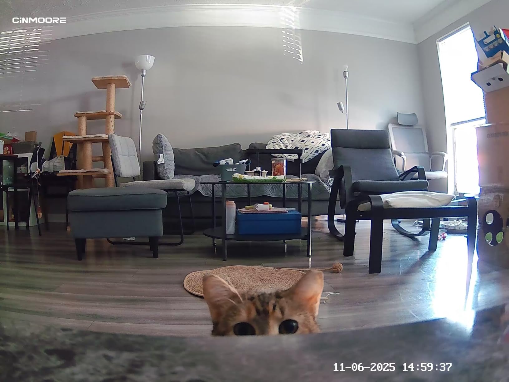 2.5K Pet/Dog Camera with Speaker/Phone App, No-Monthly-Fee AI Person/Pet/Cry Detection Security Camera Indoor, PTZ 2.4GHz WiFi Baby Monitor Cameras for Home Security, Night Vision, 2-Way Talk customer photo 1