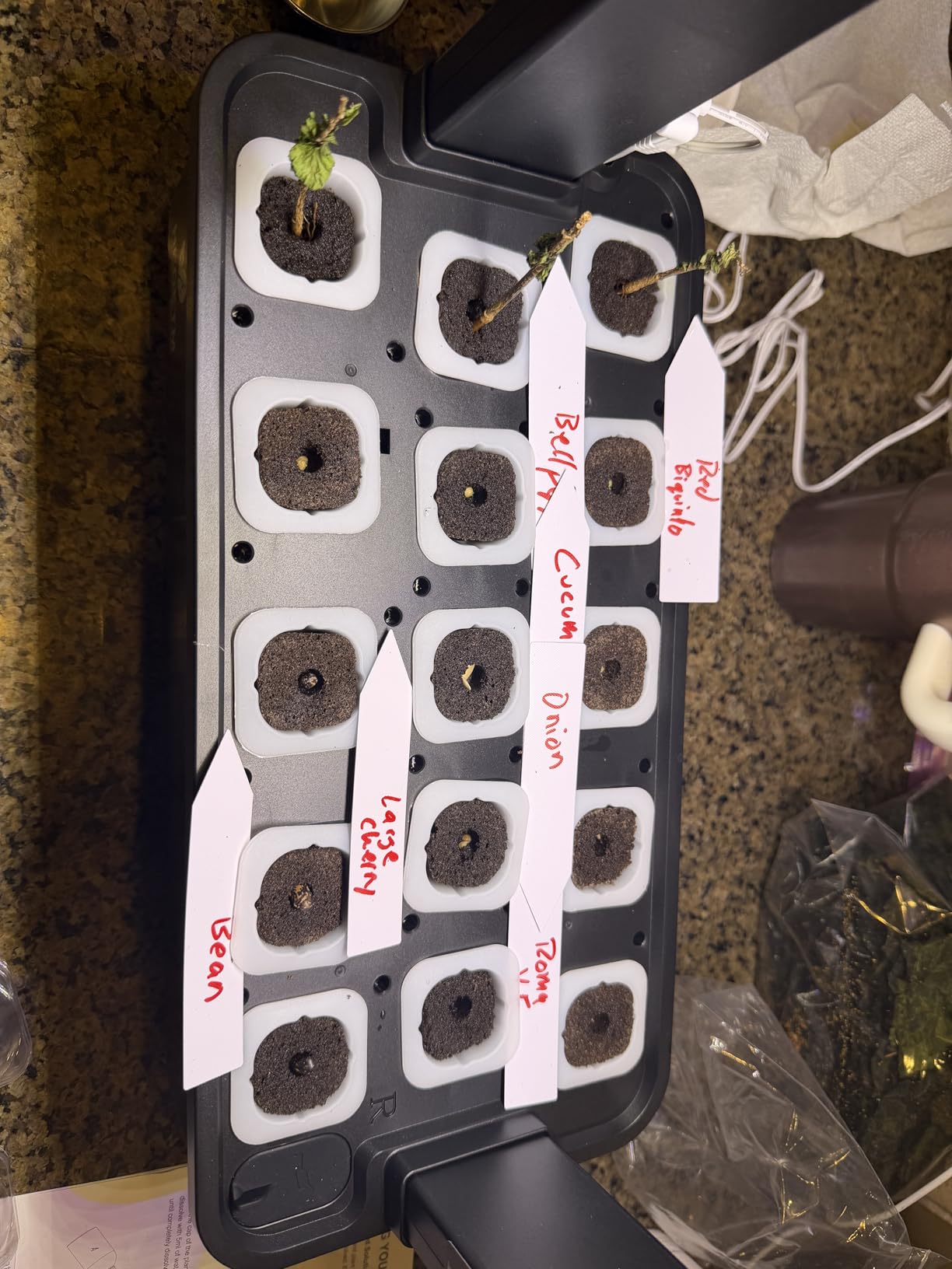 Hopegarden Indoor Garden Hydroponics Growing System: 15 Pods Plant Germination Kit Herb Vegetable Growth Lamp Countertop with LED Grow Light - Hydrophonic Planter Grower Harvest Lettuce customer photo 2