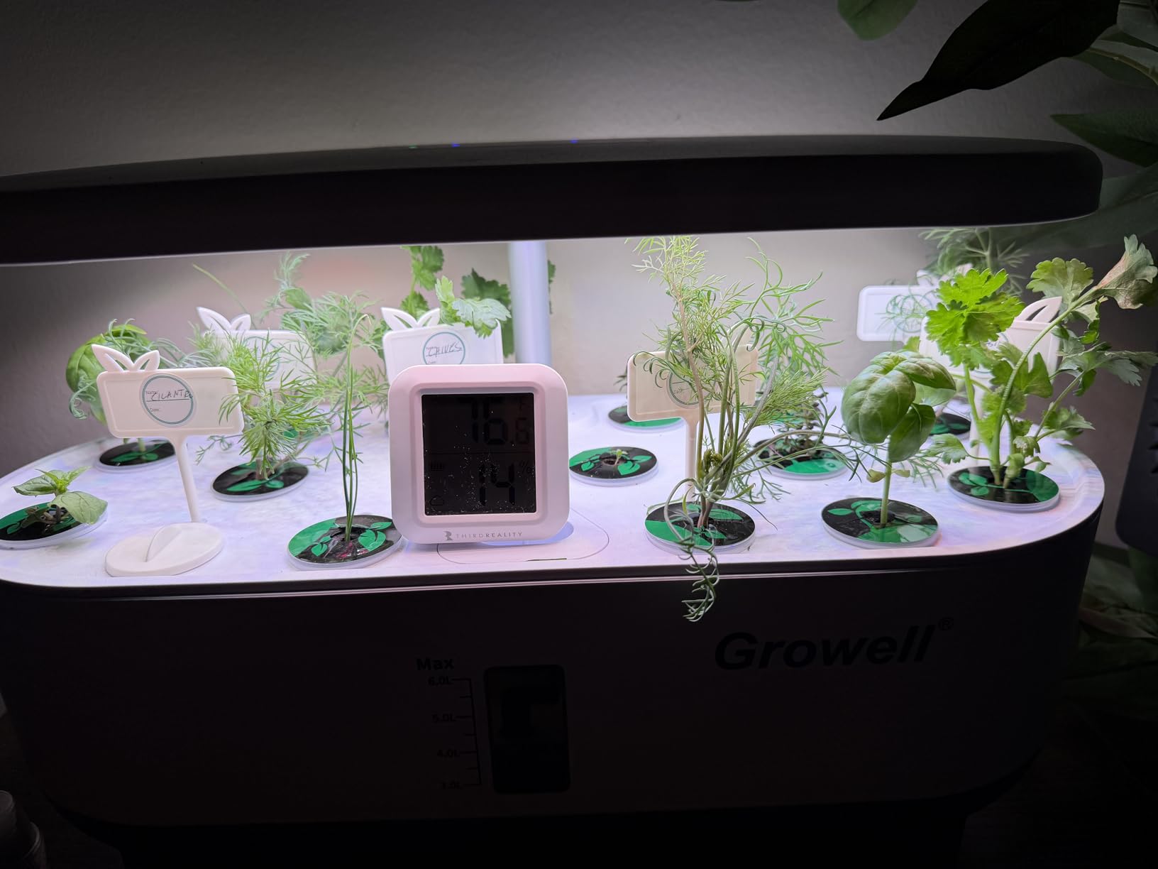 Hydroponics Growing System Kit, 16 Pods, Vertical 8L Indoor Gardening System for Herb Vegetable Fruit, with LED Grow Light, Smart Water Circulation, 3 Light Modes & 2 Timer, Black customer photo 2