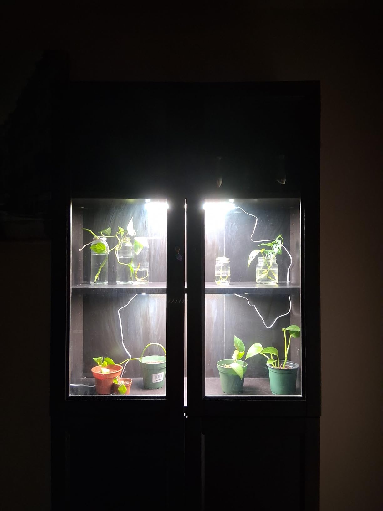 8-Pack Panel Grow Lights for Indoor Plants, FECiDA 2026 LED Plant Grow Light for Under Cabinet Plants, Full Spectrum Growing Lamp with 4,8,12,16,20 Hr Timer, Free Linking customer photo 1