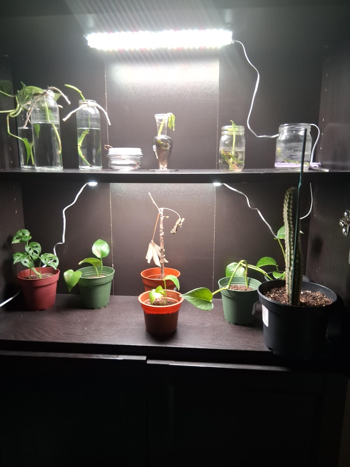8-Pack Panel Grow Lights for Indoor Plants, FECiDA 2026 LED Plant Grow Light for Under Cabinet Plants, Full Spectrum Growing Lamp with 4,8,12,16,20 Hr Timer, Free Linking customer photo 2