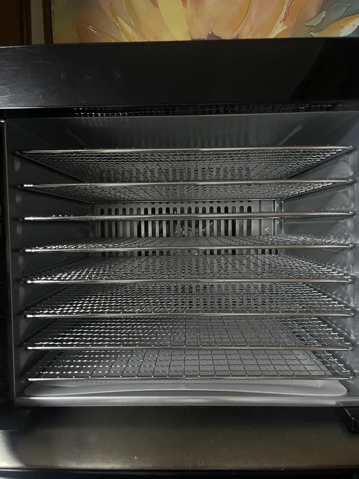 Food Dehydrator 650W, 8 Stainless Steel Tray Dehydrating Machine with Digital Timer & Temp Control (95℉-167℉), Quiet Powerful Jerky Dryer for Beef, Fruits, Herbs, Dog Treats, Veggies customer photo 2