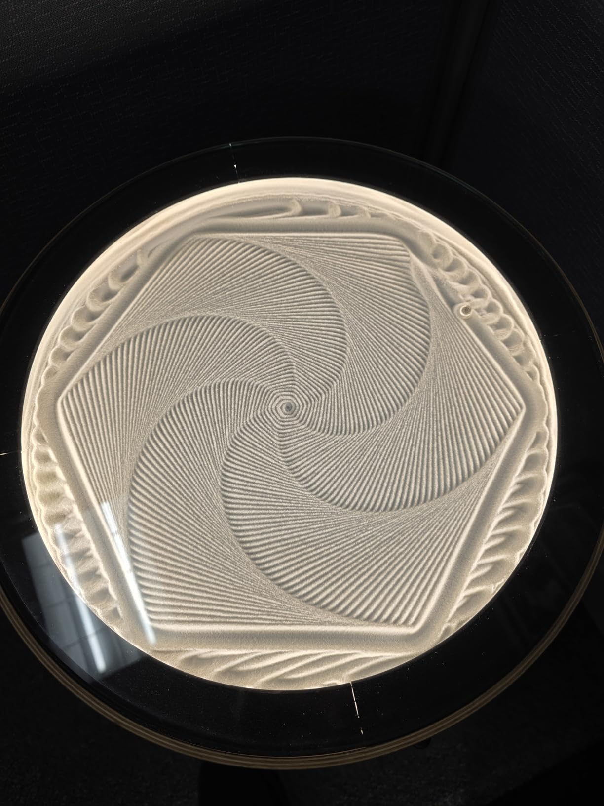 Twotrees TTS-10 Pro Laser Engraver,10000mW High Precision Laser Engraving Machine,Laser Cutter,30000mm/min Speed,0.069mm Laser Spot customer photo 2