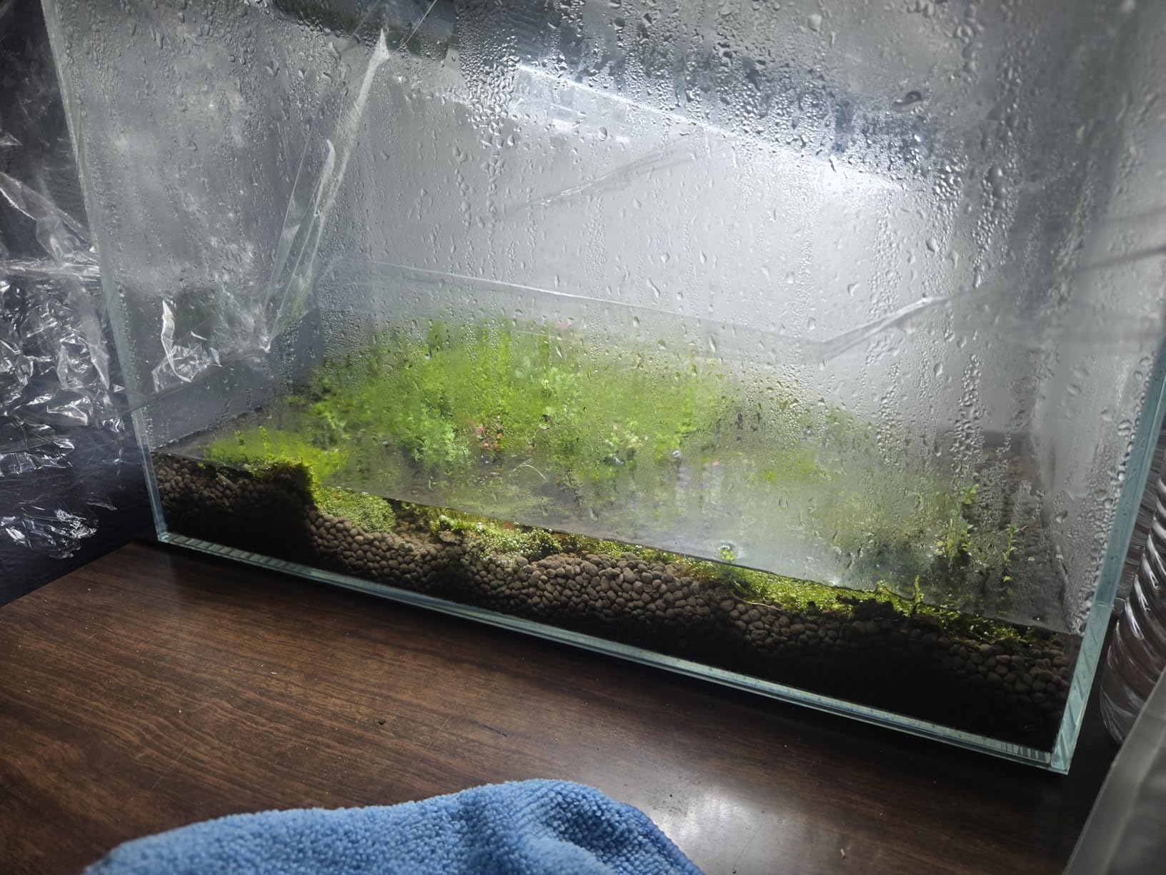 5 Gallon Ultra Clear Glass Fish Tank, Easy to Maintain Small Aquarium for Betta, Goldfish, Shrimp, Snails and Aquatic Plants customer photo 1