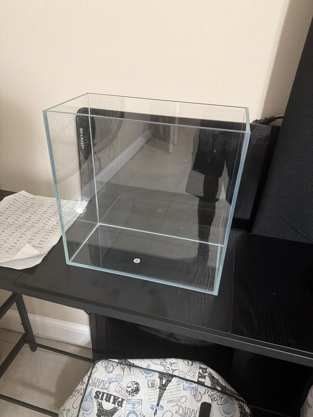 5 Gallon Ultra Clear Glass Fish Tank, Easy to Maintain Small Aquarium for Betta, Goldfish, Shrimp, Snails and Aquatic Plants customer photo 2