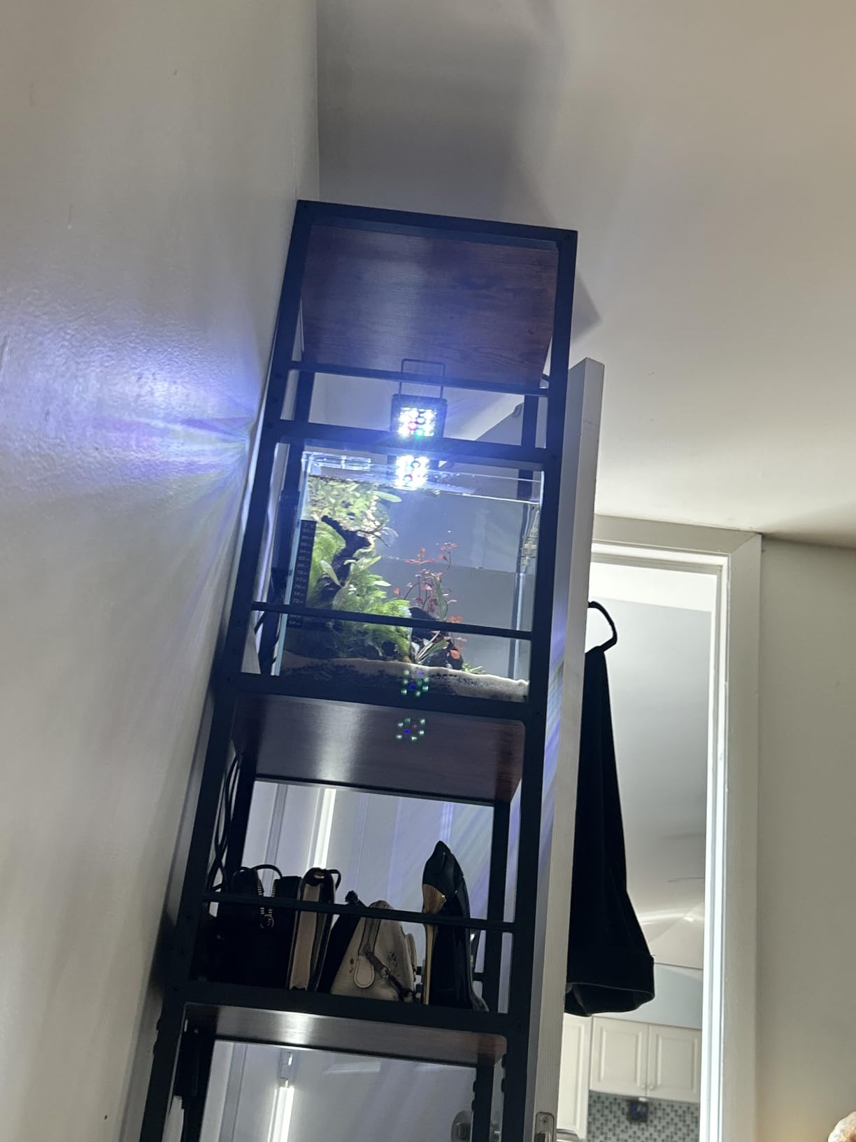Lifegard Aquariums - 15 Gallon Cube Low Iron Ultra Clear Glass Tank 6mm - 15.63''X15.63''X15.63'' customer photo 2