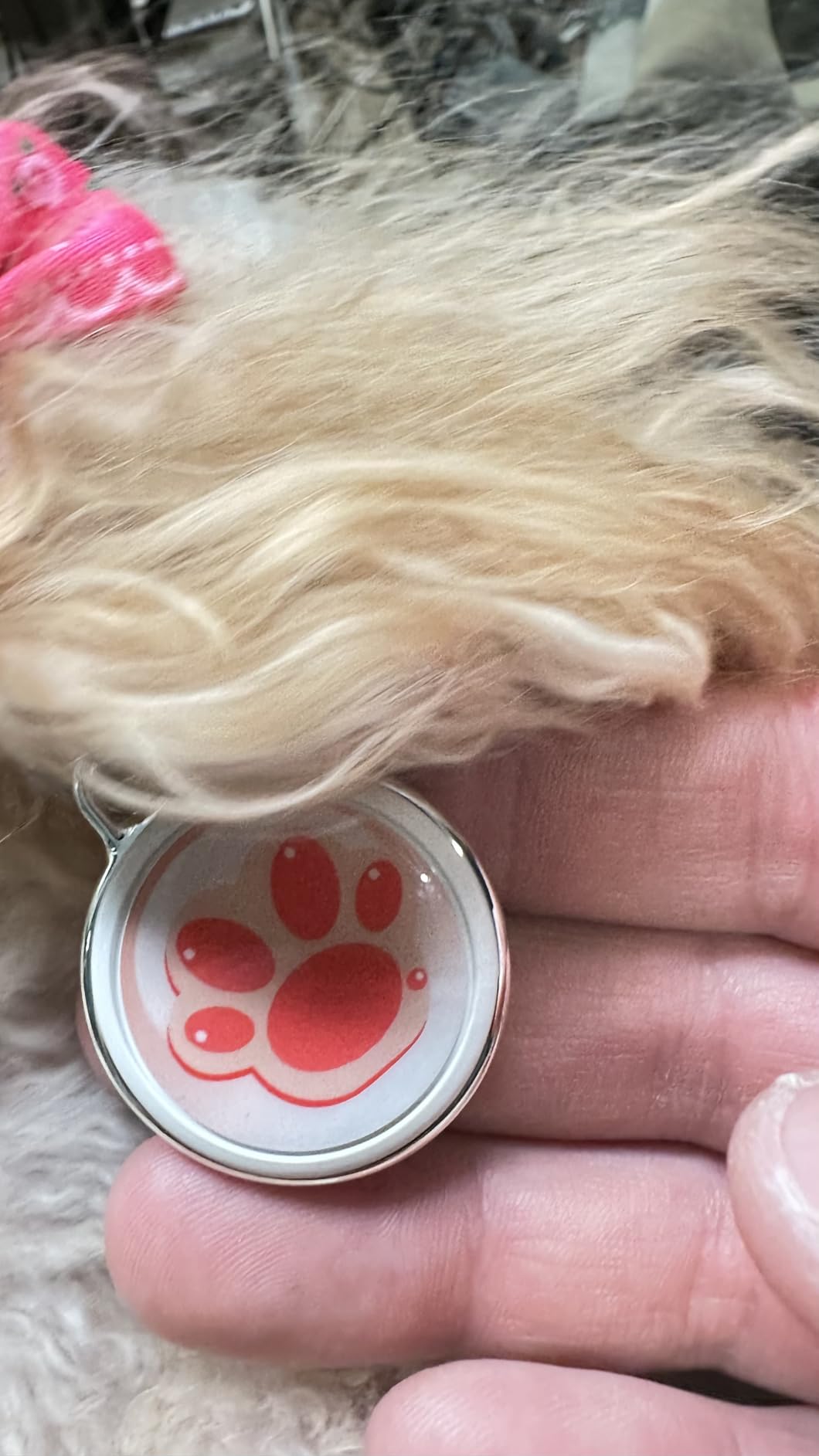 2026 Now GPS Tracker for Pet, No Monthly Fee & No SIM Card Needed | Real-Time Tracking for Dogs, Cats & Small Animals | Lightweight Design | Long Battery Life | Compatible with iPhone & Android customer photo 2