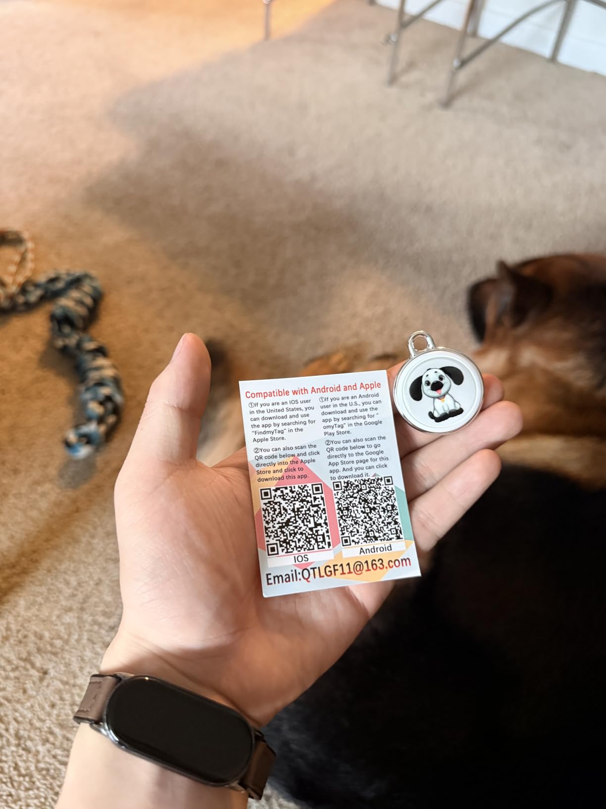 2026 GPS Tracker for Pet, No Monthly Fee & No SIM Card Needed | Real-Time Tracking for Dogs, Cats & Small Animals | Lightweight Design | Long Battery Life | Compatible with iPhone & Android customer photo 1