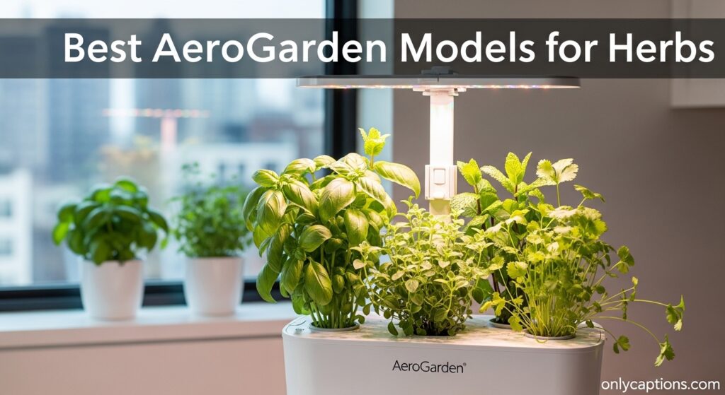 The current image has no alternative text. The file name is: Best-AeroGarden-Models-for-Herbs.jpeg