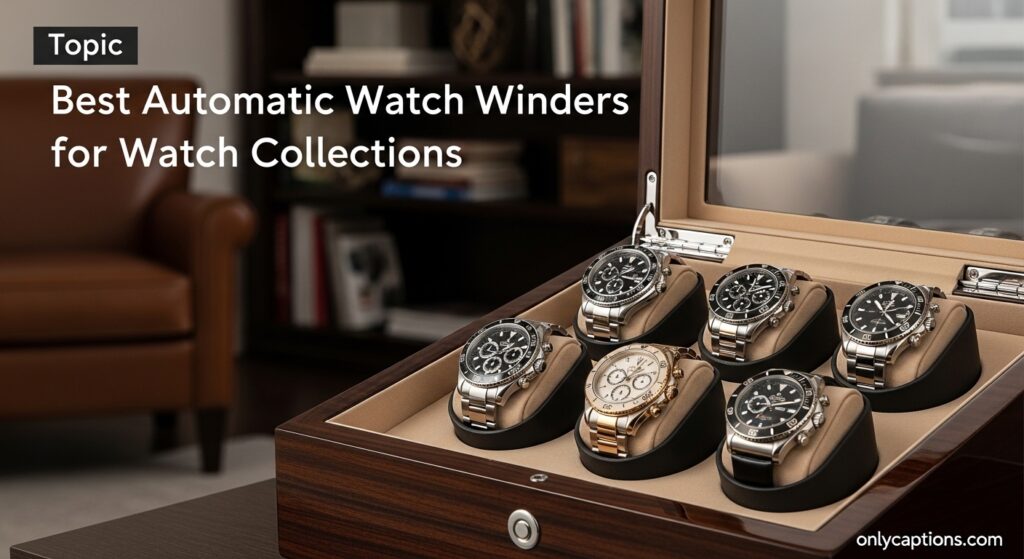 The current image has no alternative text. The file name is: Best-Automatic-Watch-Winders-for-Watch-Collections.jpeg