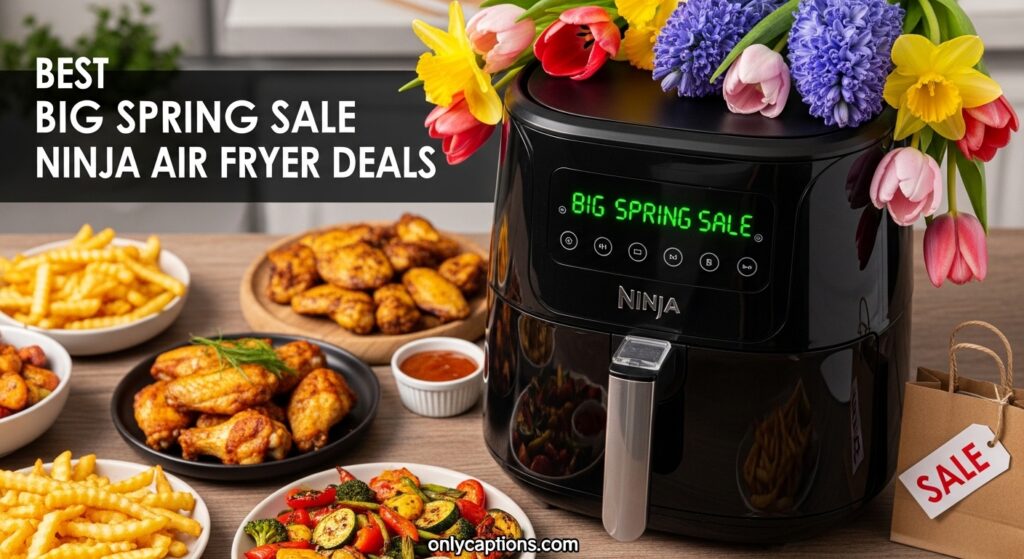 The current image has no alternative text. The file name is: Best-Big-Spring-Sale-Ninja-Air-Fryer-Deals-.jpeg