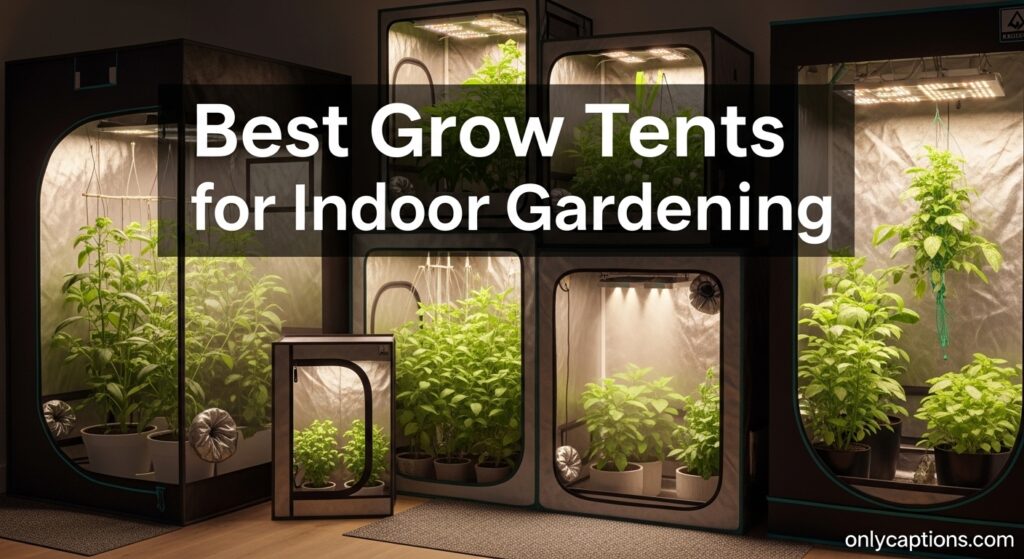 The current image has no alternative text. The file name is: Best-Grow-Tents-for-Indoor-Gardening-.jpeg