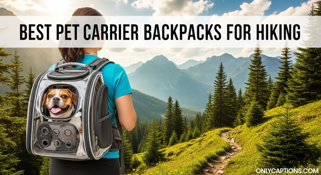 Best Pet Carrier Backpacks for Hiking