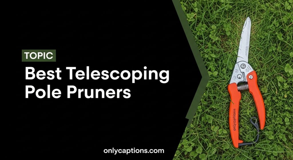 The current image has no alternative text. The file name is: Best-Telescoping-Pole-Pruners.jpeg