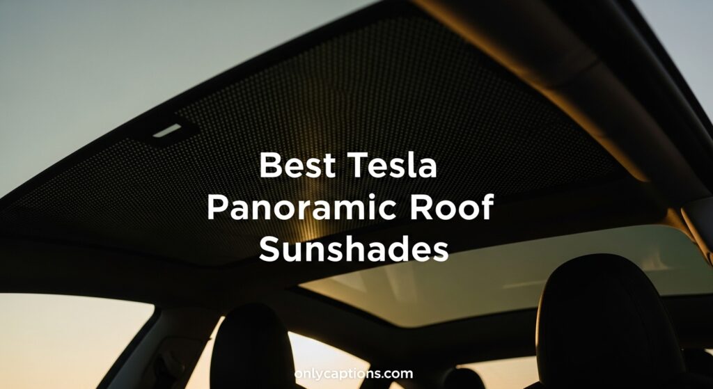 The current image has no alternative text. The file name is: Best-Tesla-Panoramic-Roof-Sunshades.jpeg