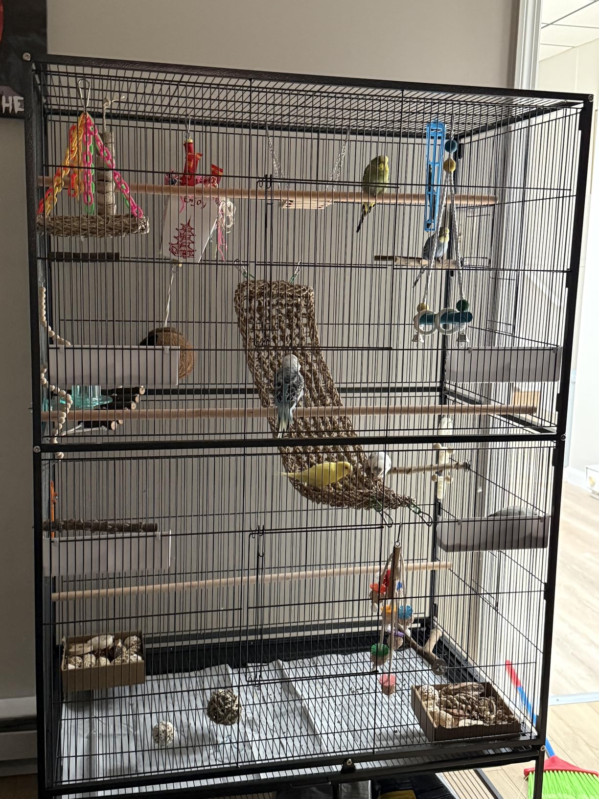 Prevue Hendryx Pet Products Wrought Iron Flight Cage - Big Rolling Bird Cage for Parakeets, Cockatiels, Conures, Lovebirds, Canaries, Finches, Parrotlets, & Caiques, 5 Ft - X-Large, Hammertone Black customer photo 2