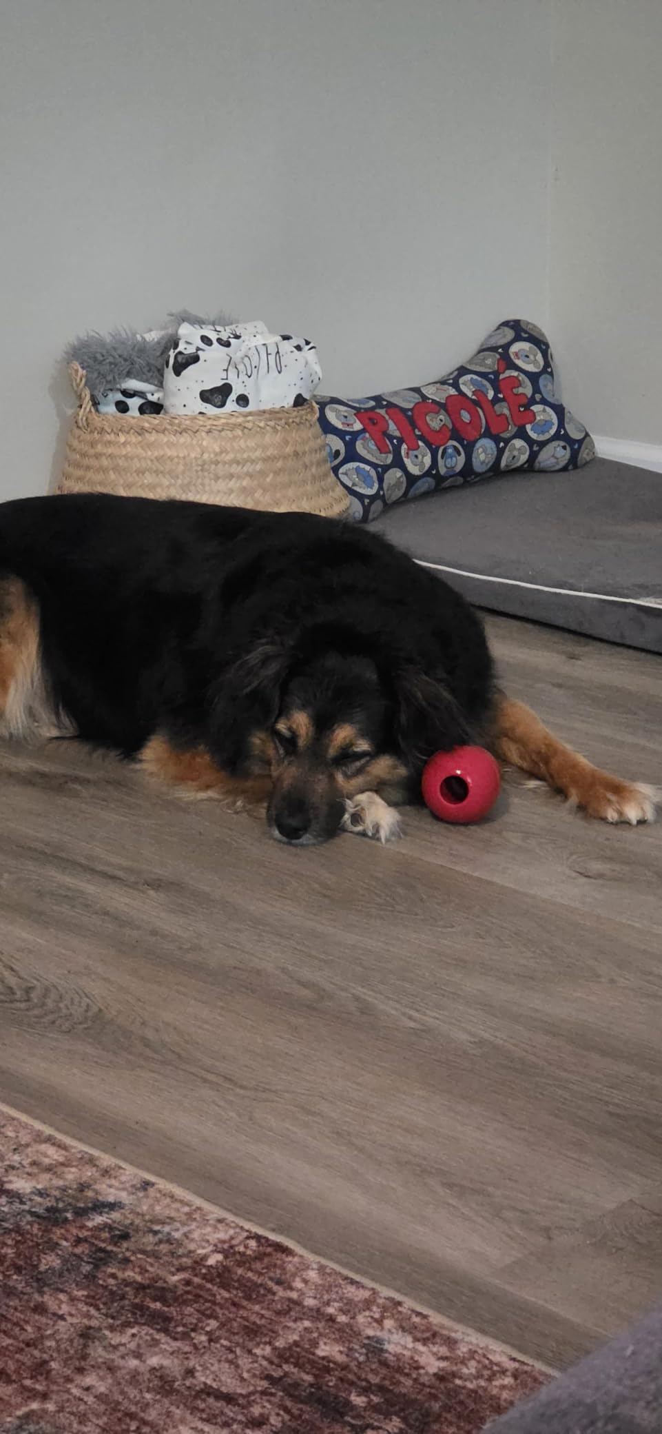 KONG Classic Stuffable Dog Toy - Fetch & Chew Toy for Dogs - Treat-Filling Capabilities & Erratic Bounce for Extended Play Time - Durable Natural Rubber Material - for Large Dogs customer photo 1