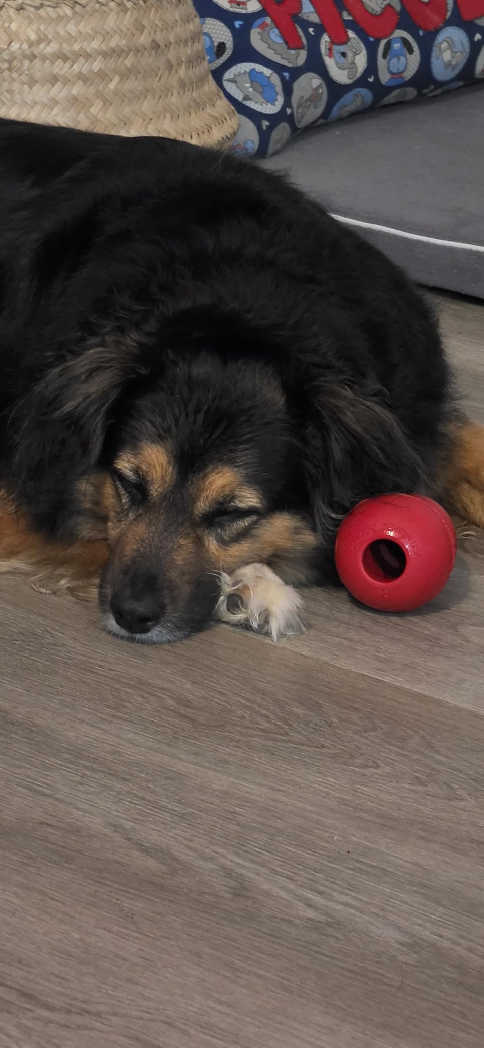 KONG Classic Stuffable Dog Toy - Fetch & Chew Toy for Dogs - Treat-Filling Capabilities & Erratic Bounce for Extended Play Time - Durable Natural Rubber Material - for Large Dogs customer photo 2